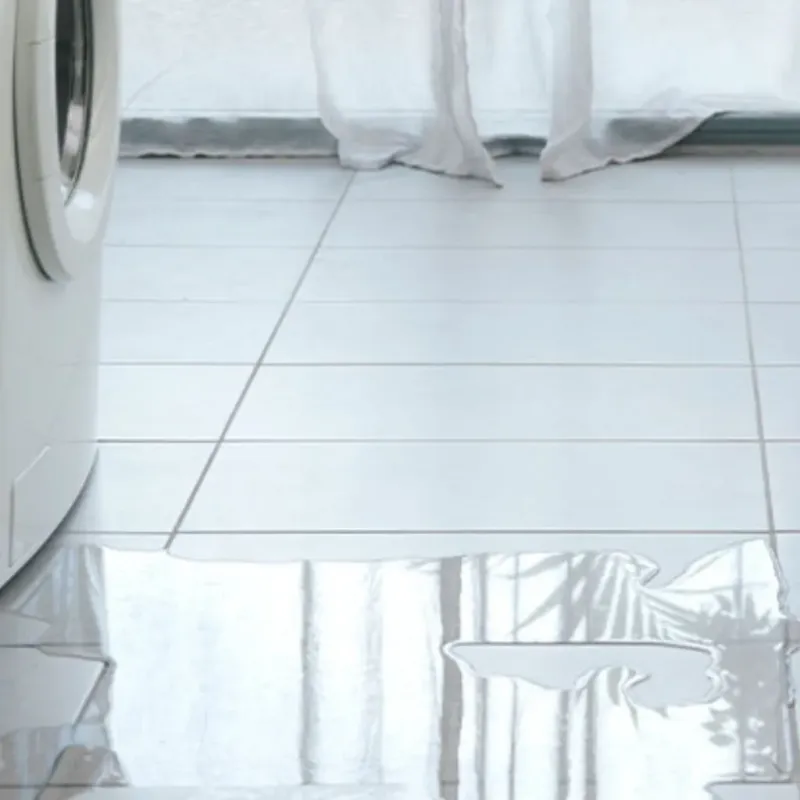 Appliance Leak Cleanup in Butler, WI
