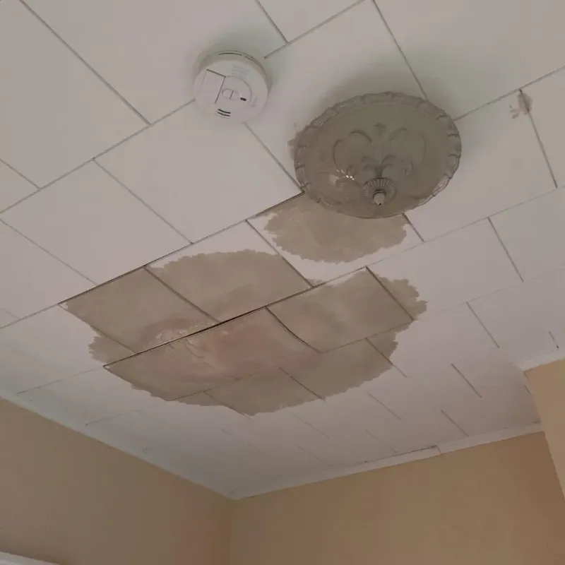 Ceiling Water Damage Repair in Butler, WI