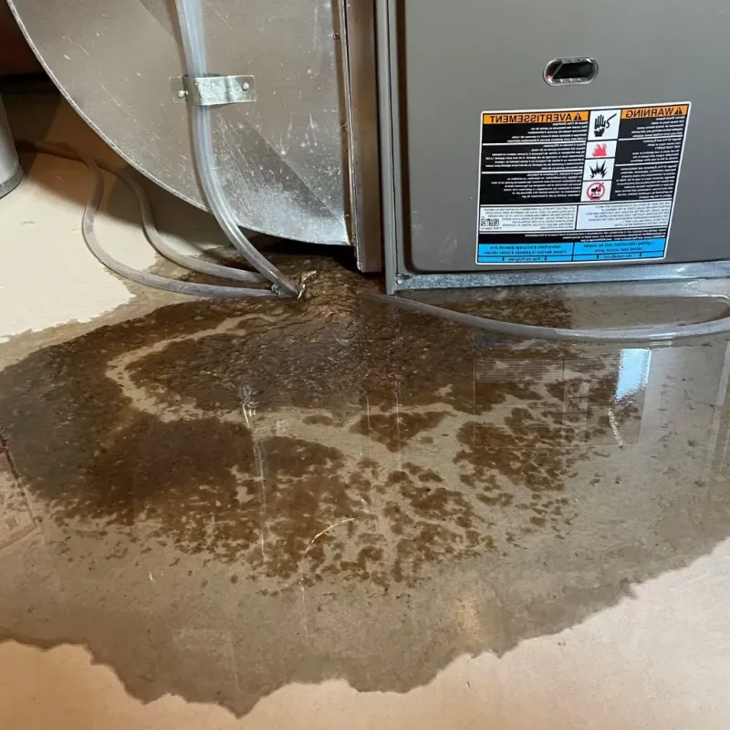 Pipe Burst and Leak Restoration in Butler, WI