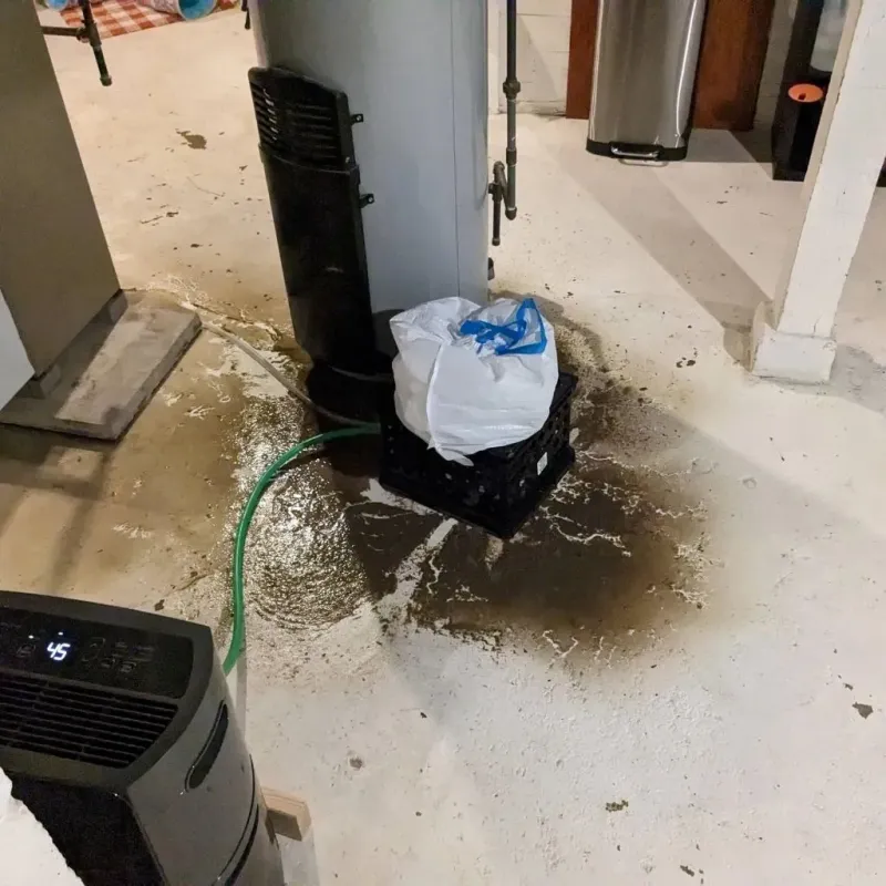 Sewage Backup Cleanup Service in Butler, WI